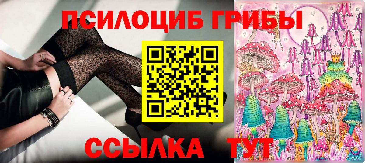 Галлюциногенные грибы Psilocybine cubensis Буйнакск