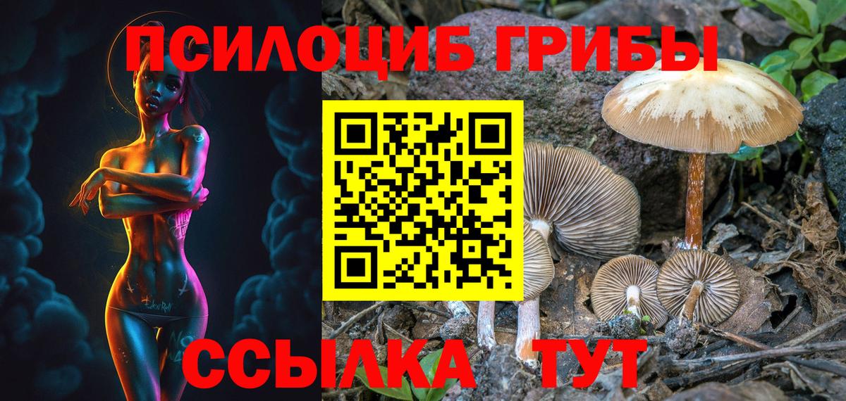 Псилоцибиновые грибы мухоморы  Вход с VPN  Буйнакск  Галлюциногенные грибы мухоморы 